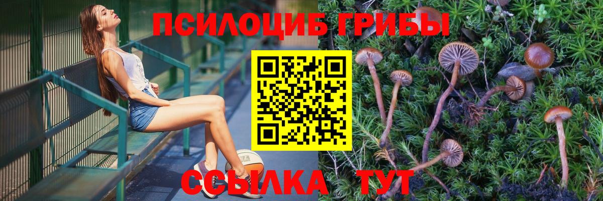 Вятские Поляны  Галлюциногенные грибы MAGIC MUSHROOMS  магазин продажи наркотиков  Вход с VPN 