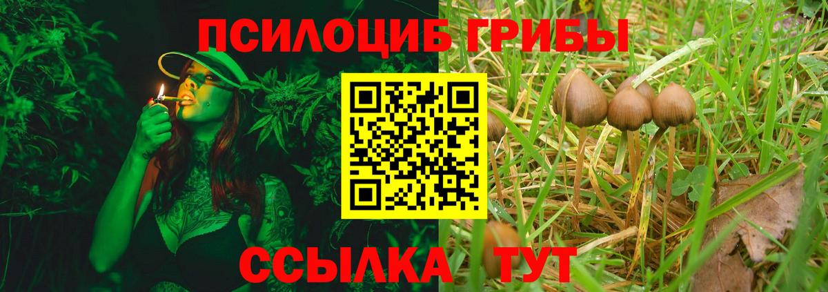 Псилоцибиновые грибы мицелий Вятские Поляны